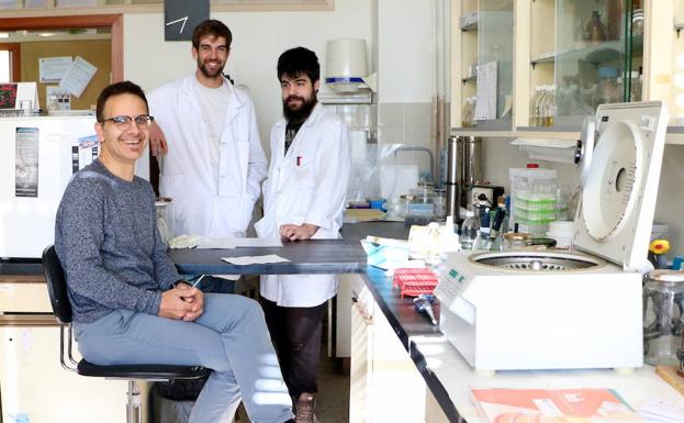 Descifran los mecanismos moleculares que regulan el estrés oxidativo en bacterias