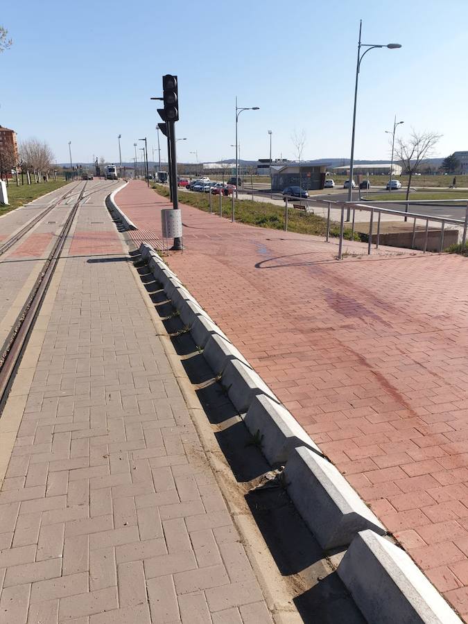 Limpieza del corredor de Feve