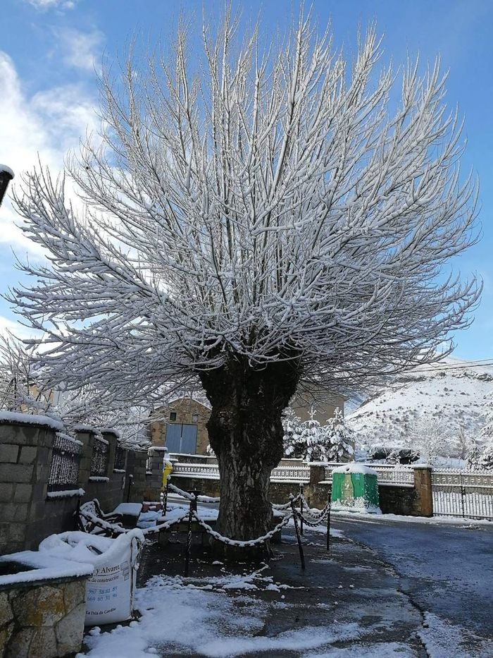 Primavera invernal en León