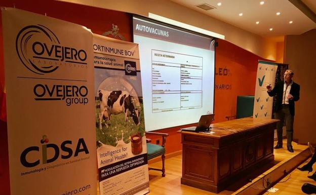 Los veterinarios abordan en León las nuevas herramientas para reducir el uso de antibióticos en el ganado