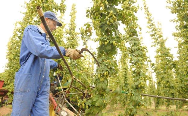 La sangría del campo no se frena: pierde un centenar de trabajadores en 2018 y más de 8.000 en la última década
