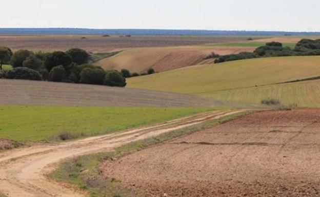 La Junta declara «urgente» la ejecución de la concentración parcelaria de Los Oteros II con una superficie de 34.000 hectáreas