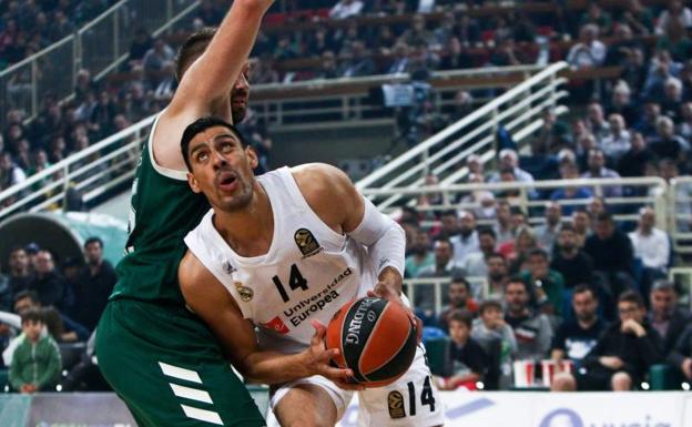 Barrido del campeón para meterse en la Final Four