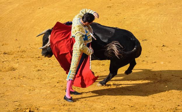 «A mí no me gustan los toros»