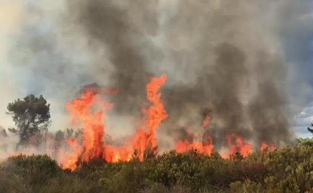 La caída de un rayo provoca un incendio forestal en Quintana del Castillo