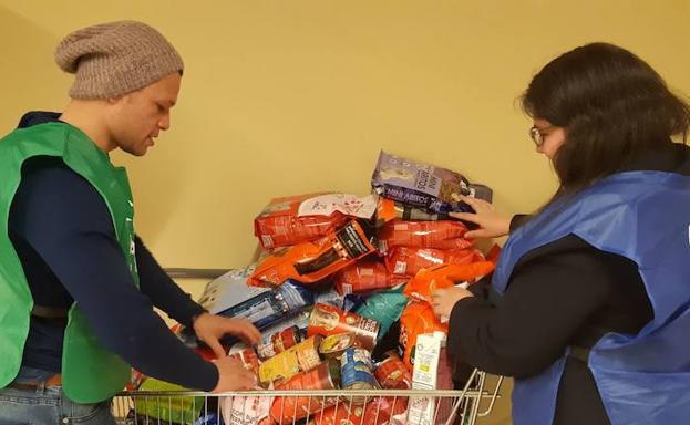 La 'Operación Saco' espera recaudar este sábado 20.000 kilos de alimento para perros y gatos