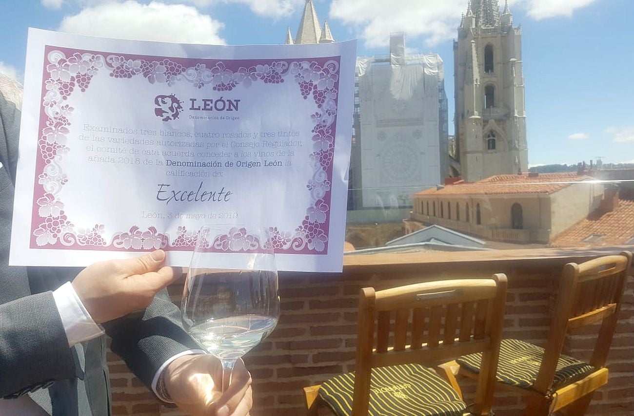 La añada de la DO León se lleva un rotundo 'Excelente' como nota final