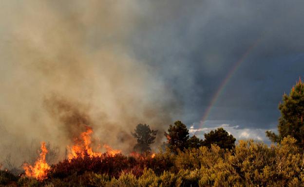 León registra 193 incendios forestales entre enero y marzo y la administración alerta de un verano 'caliente'