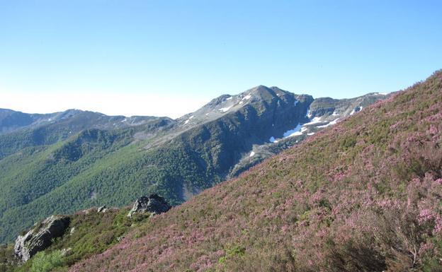 La Reserva de la Biosfera de los Ancares Leoneses organiza una jornada sobre plantaciones de árboles en el territorio