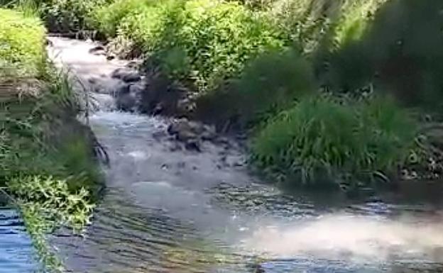 Un riachuelo de aguas cargadas de desechos contamina de forma permanente el Esla ante la falta de control