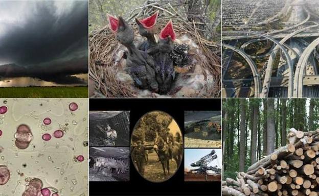 Investigadores de la ULE participan en la 'Pint of Science' de divulgación científica