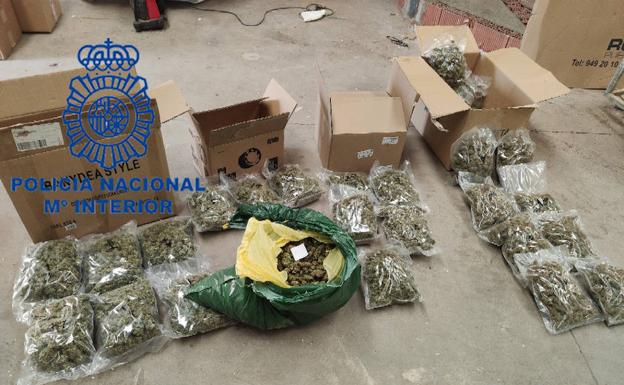 La mayor plantación de marihuana en León ciudad escondía nueve kilos de 'cogollos' entre los escombros
