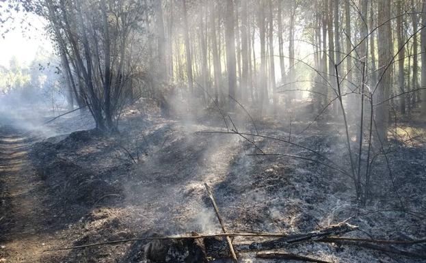 Un incendio forestal en Sardonedo pone en alerta a la localidad