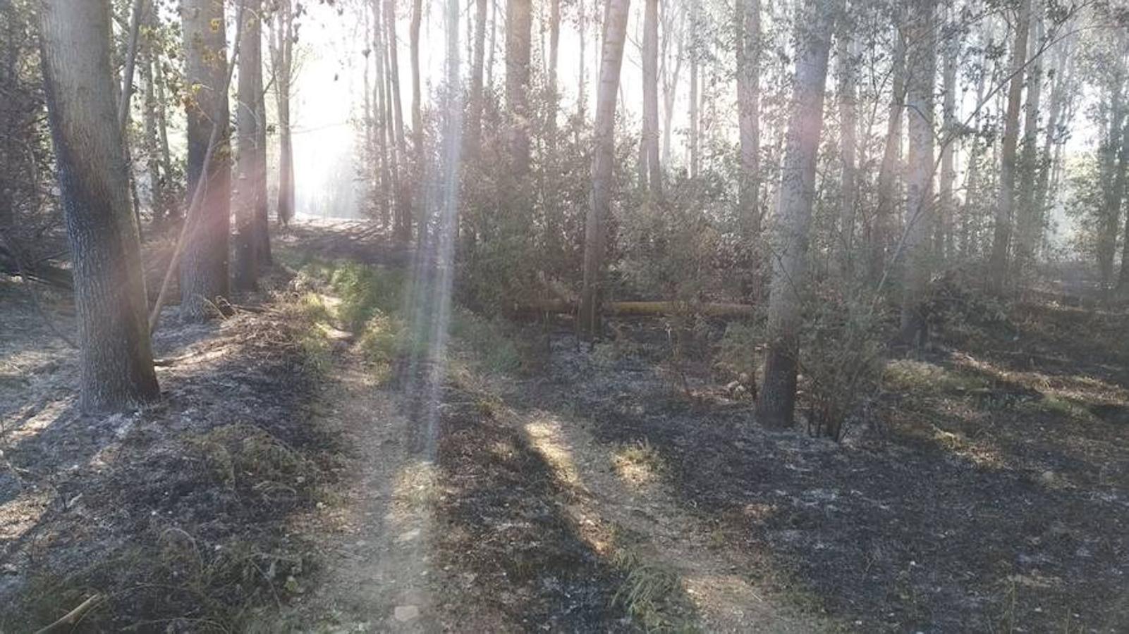 Incendio forestal en Sardonedo