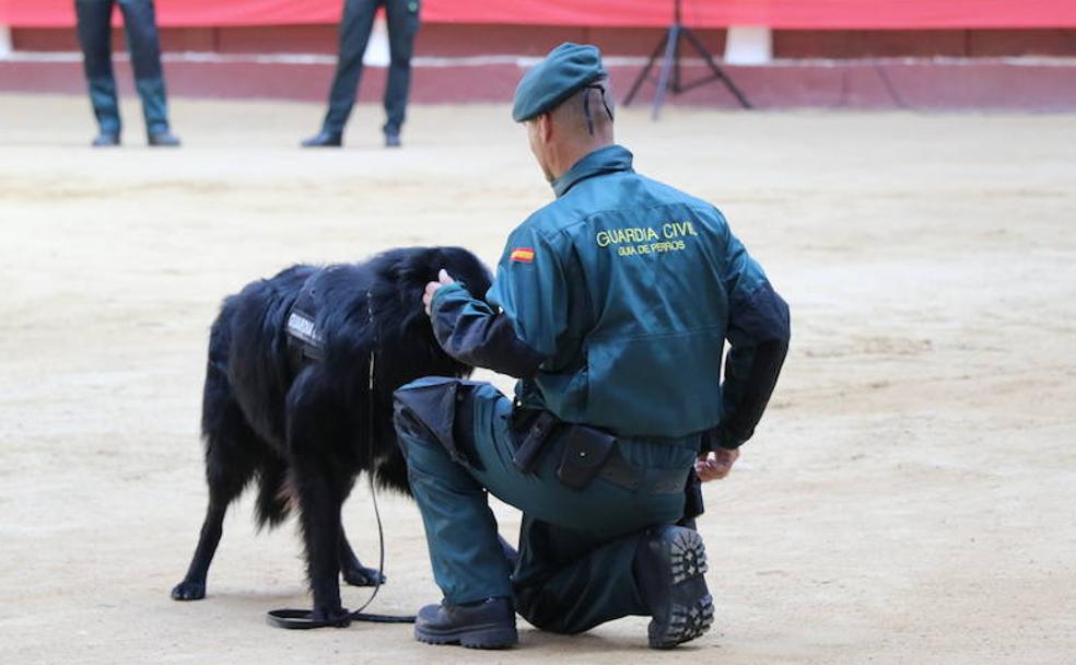 Una faena ante el público más exigente