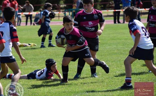 La Escuela Robher Asesores León RC destaca entre las mejores canteras de España