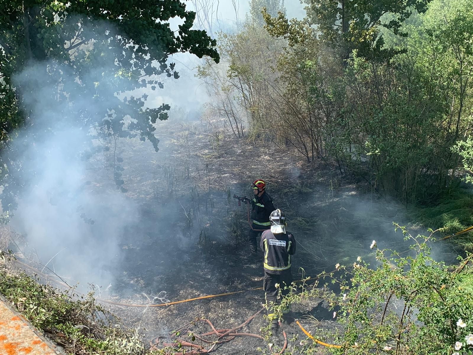 Fuego en el entorno del río