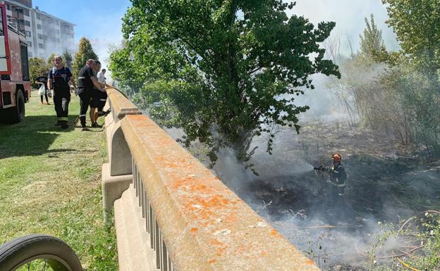Identificados dos jóvenes como presuntos autores del incendio en la ribera del Bernesga en León