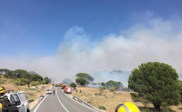 Desalojadas varias personas en el municipio de El Hoyo de Pinares (Ávila) por un incendio de nivel 2 que obliga a activar la UME