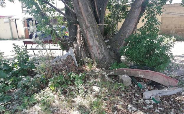 UPL reclama al Ayuntamiento de León el adecentamiento de los alrededores de la Protectora