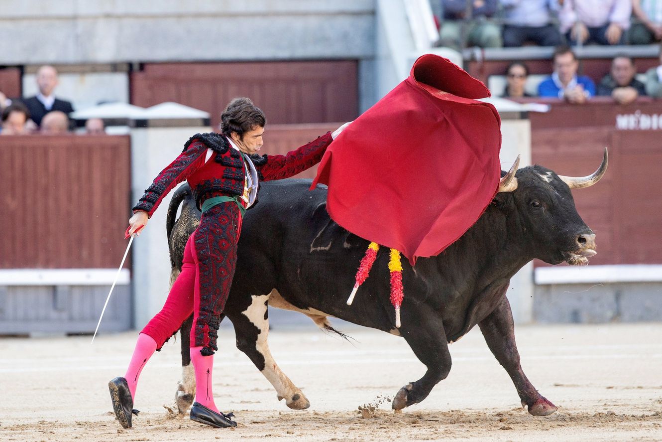 Valdellán, el toro leonés