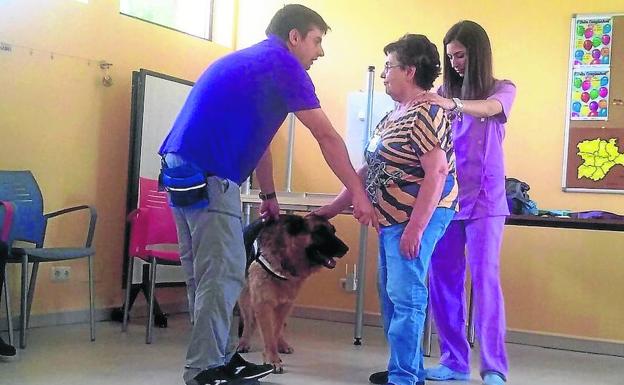 Terapia con perros para los enfermos de alzheimer