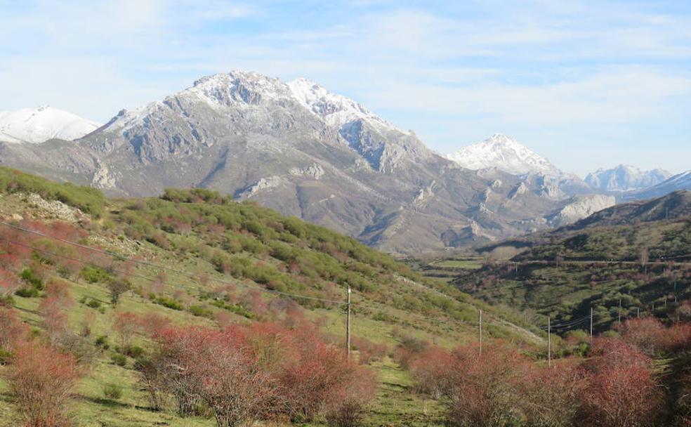 El Alto Bernesga, vida y naturaleza en estado puro