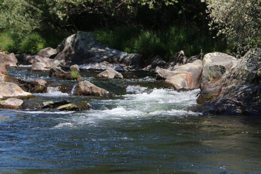 Los rios trucheros son un valor en alza en esta zona.