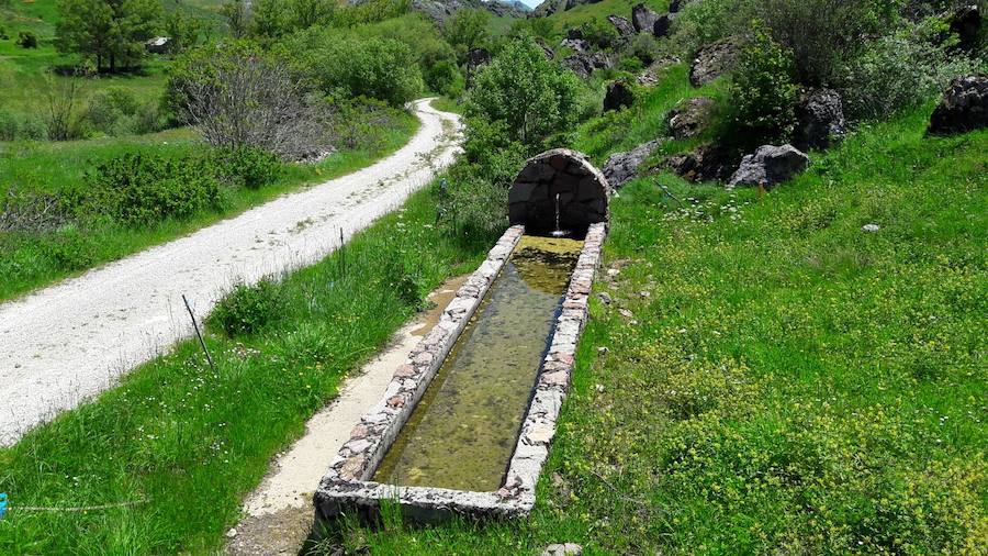 Reserva de la Biosfera: El Alto Bernesga