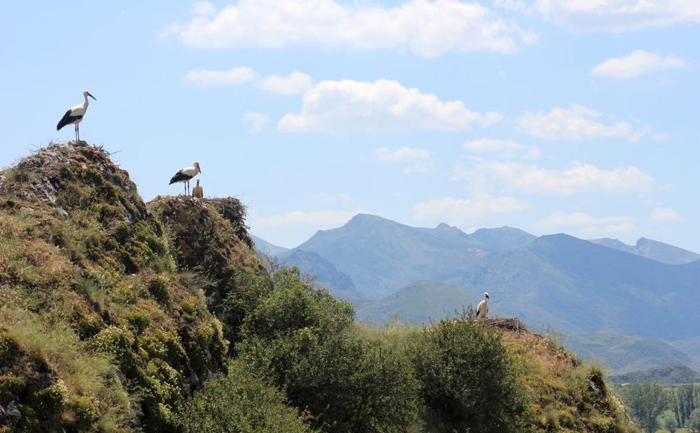 Babia, capricho natural, tierra paradisíaca