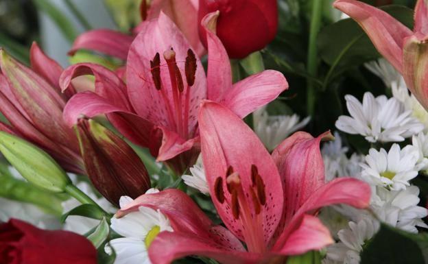 León acogerá a los mejores artesanos floristas de España