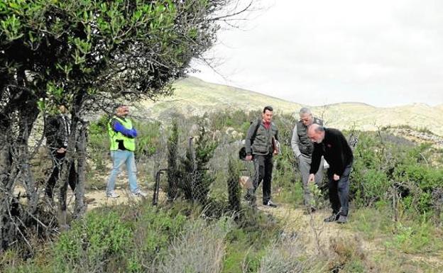 La Guardia Civil investiga el hallazgo de restos humanos en la fosa del caso Alcàsser