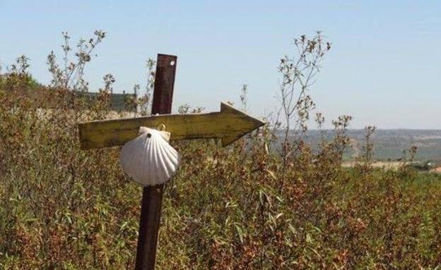 Reunión de expertos para lanzar líneas de acción en el Camino de Santiago a su paso por León