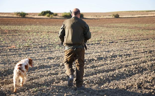 El TSJCyL rechaza el desistimiento de la Junta al recurso contra la medida cautelar de suspensión del decreto de caza