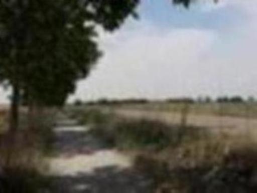 Errores en el Camino