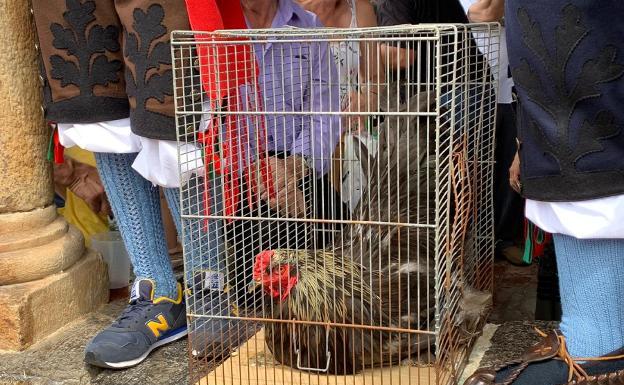 650 euros por 'Decibelios', el gallo del pleito por el ruido