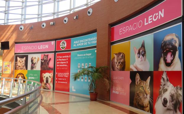Encuentra al amor de tu vida en Espacio León
