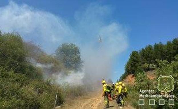 Sofocan en media hora la reproducción de un incendio provocado en Rioseco de Tapia