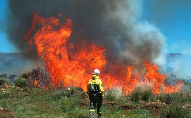 La Junta declara la alerta por riesgo de incendios forestales entre este lunes y el miércoles