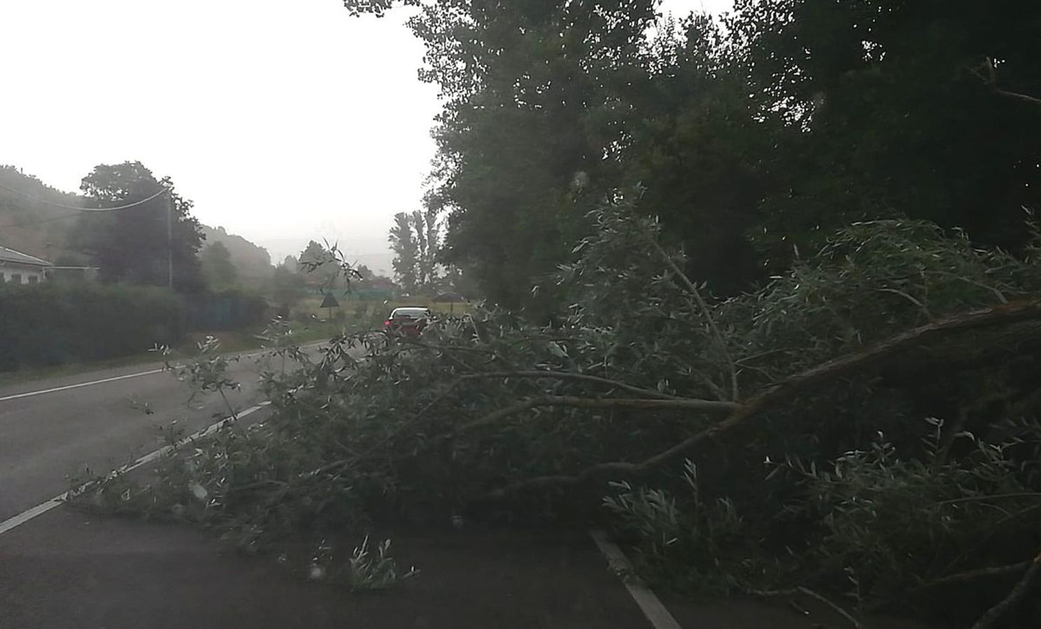 Estalla la tormenta en León