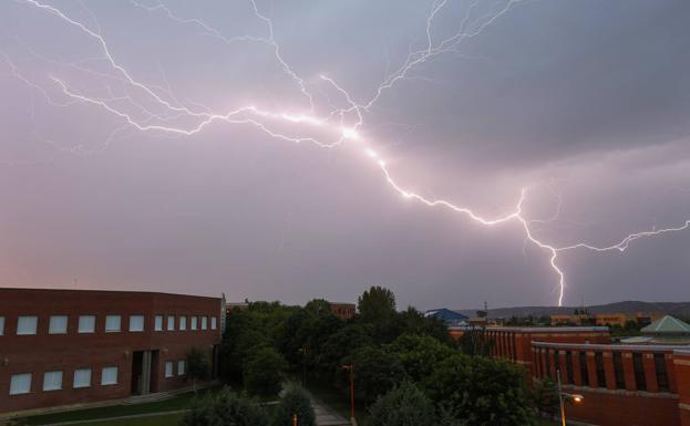 De árboles caídos a cortes de luz: la tormenta causa estragos en toda la provincia de León