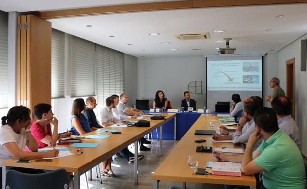 Fele analiza la implantación de hábitos de vida saludable en la empresa como factor clave para la mejora de la productividad