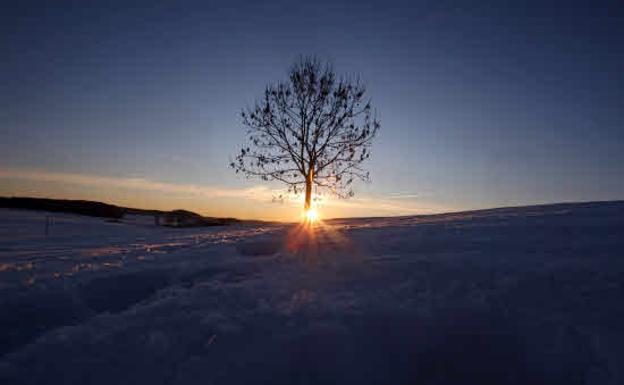 La humanidad se 'come' el planeta