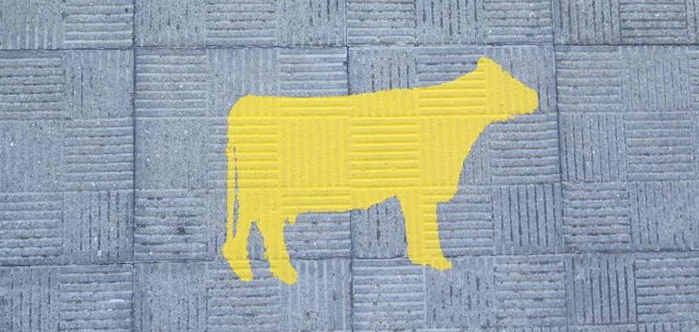 Castilla y León pierde casi 400 ganaderos de vacuno de leche desde el fin de la cuota láctea mientras el precio sigue en caída