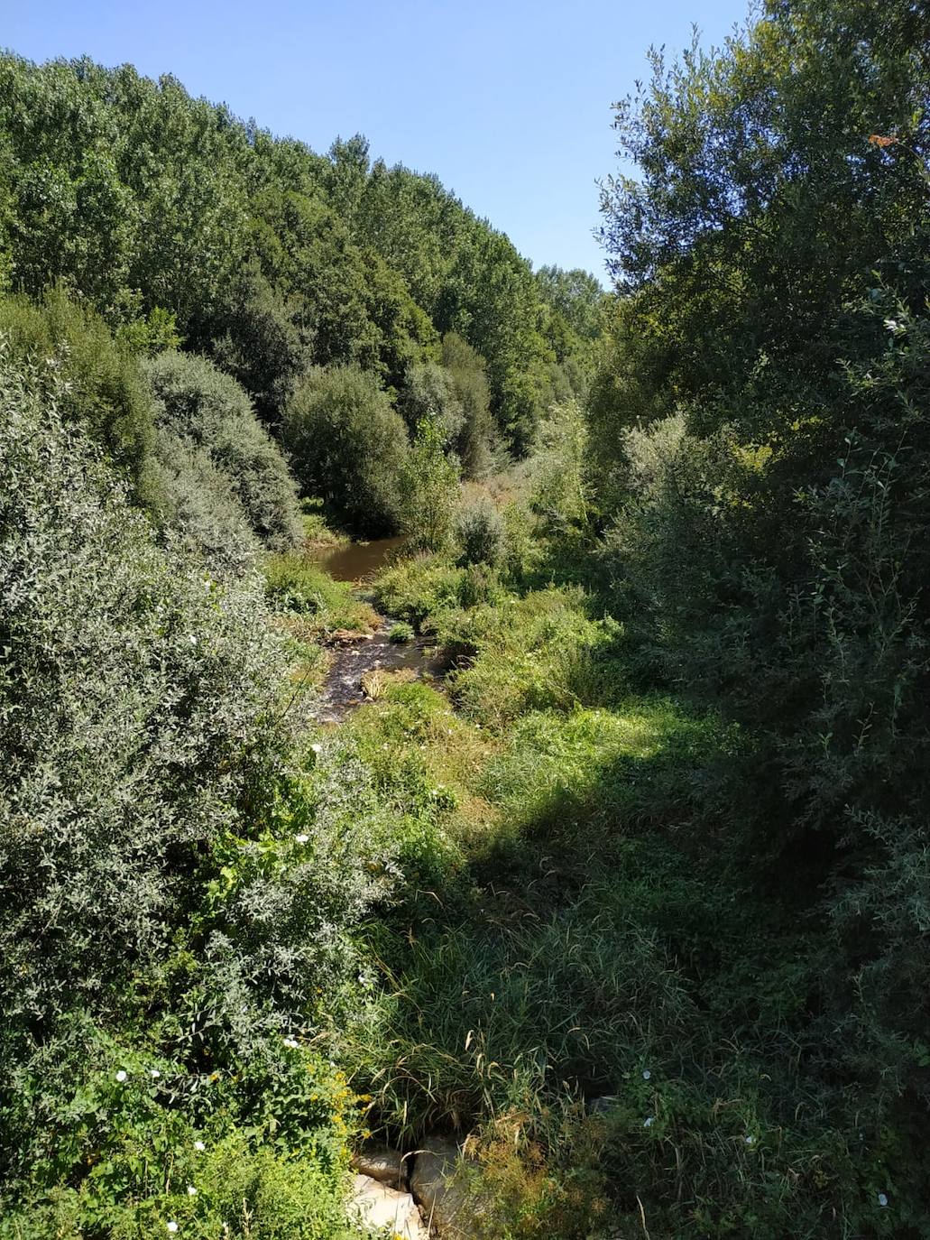 Valderrey reclama a la CHD la limpieza del río Tuerto