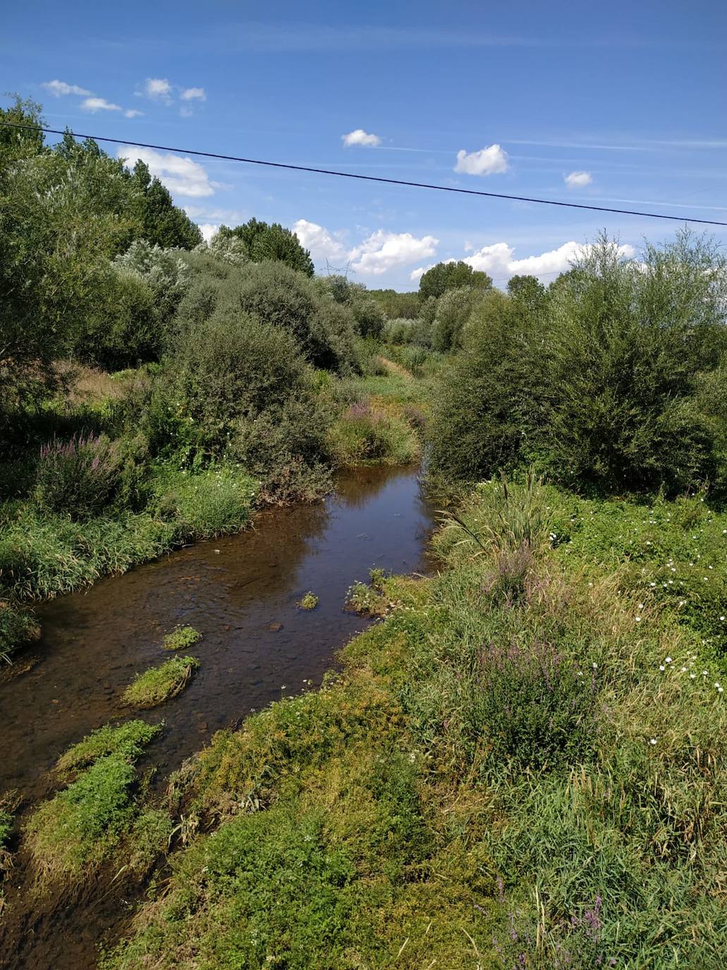 Cauce del río Tuerto a su paso por Valderey