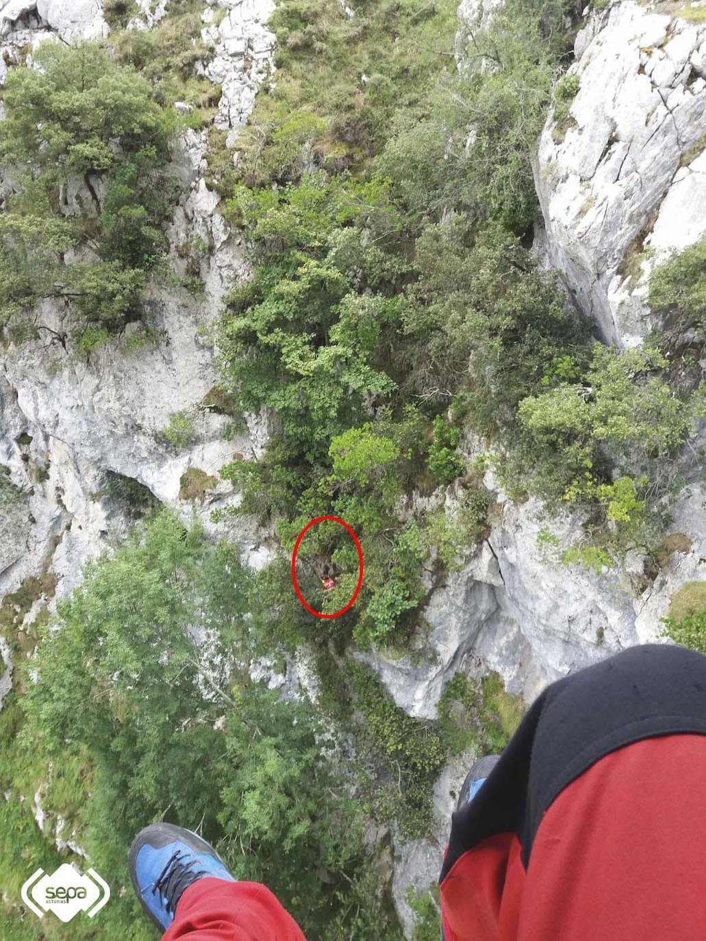 Rescatado ileso tras despeñarse 30 metros en la ruta del Cares