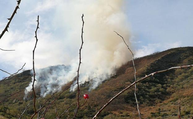 Extinguido un incendio intencionado en las cercanías de la localidad de Calzada de la Valdería