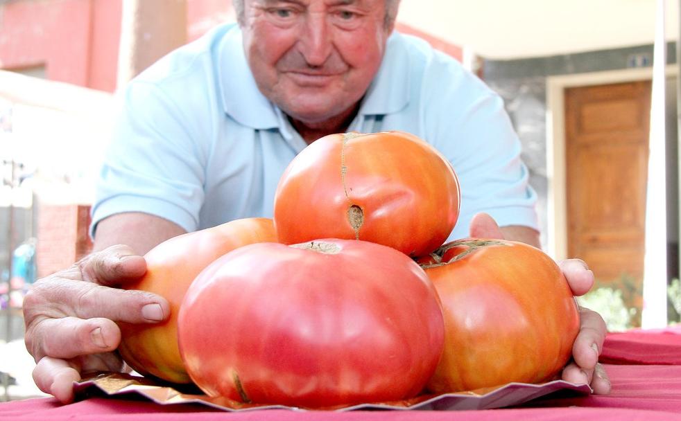 Tres décadas de tomate mansillés