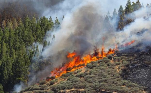 Logran contener el incendio de Gran Canaria pero se esperan vientos de hasta 70 kilómetros por hora